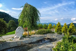 Sensory water garden